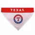 Pets First Texas Rangers MLB Pet Bandana image thumbnail 2