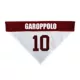 Product Jimmy Garoppolo NFL Reversible Pet Bandana