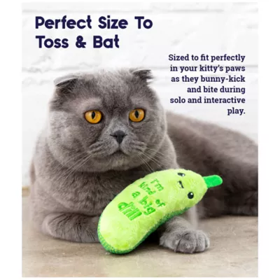 Catstages Crunchy Catnip Pickle Cat Toy