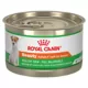 Product Royal Canin Canine Health Nutrition Beauty Adult Dog Loaf in Sauce Wet Food - 5.2 oz