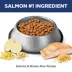 Hill's® Science Diet® Perfect Digestion Adult Dry Dog Food - Salmon, Brown Rice & Whole Oats image thumbnail 4