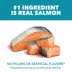 IAMS™ Proactive Health Indoor Adult Dry Cat Food - Weight & Hairball Care, Salmon image thumbnail 2