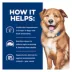 Hill's® Prescription Diet® Derm Complete Skin & Food Sensitivities Adult Dry Dog Food image thumbnail 5