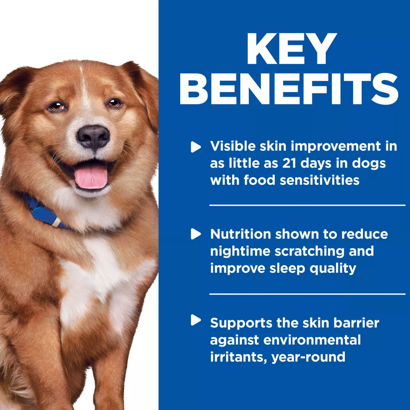 Derm defense dog food reviews sale