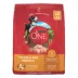 Purina ONE® SmartBlend Everyday Nutrition Adult Dog Dry Food - Chicken, High-Protein image thumbnail 1