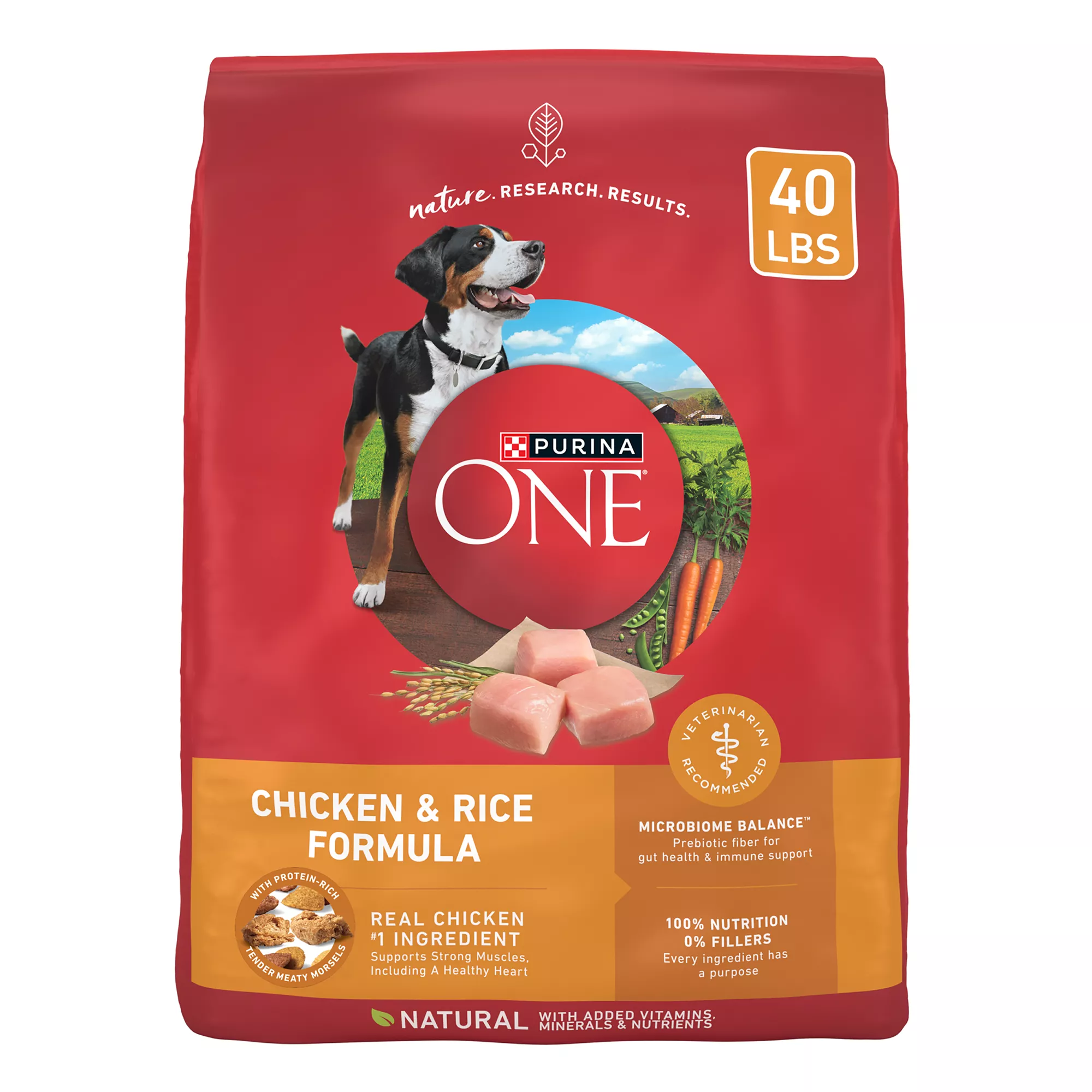 Purina ONE® SmartBlend Everyday Nutrition Adult Dog Dry Food - Chicken, High-Protein