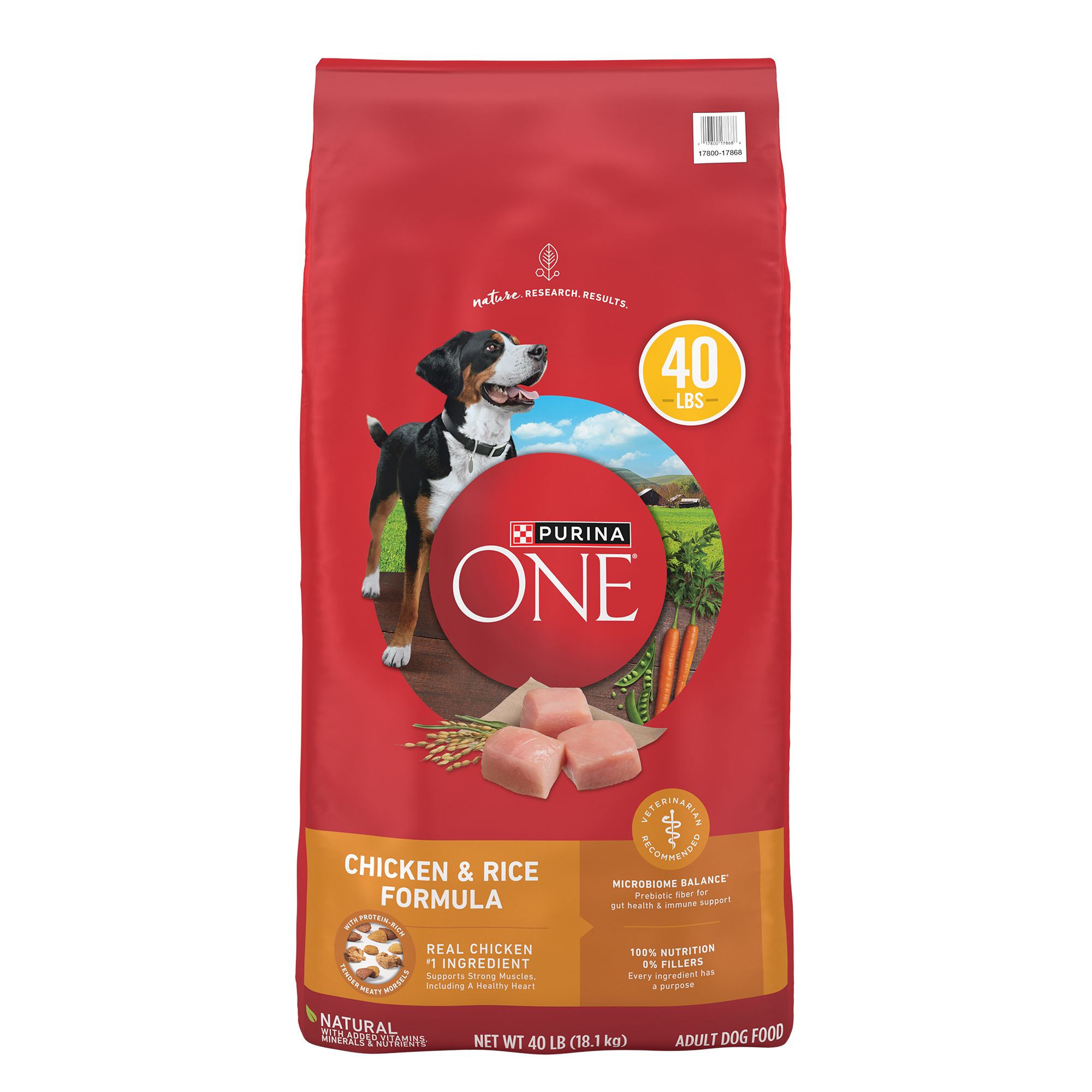 Purina ONE® SmartBlend Everyday Nutrition Adult Dog Dry Food