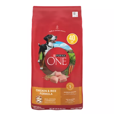 Product Purina ONE® SmartBlend Everyday Nutrition Adult Dog Dry Food - Chicken, High-Protein