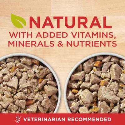 Product Purina ONE® SmartBlend Everyday Nutrition Adult Dog Wet Food - 5.71 lb., High-Protein, Natural