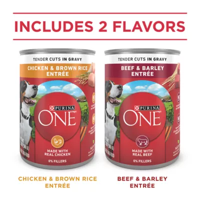 Product Purina ONE® SmartBlend Everyday Nutrition Adult Dog Wet Food - 5.71 lb., High-Protein, Natural