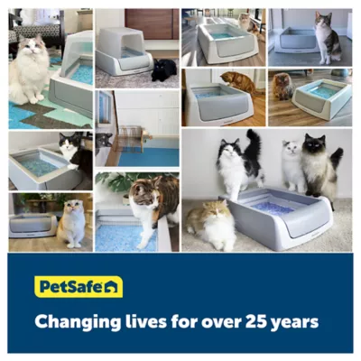 Product PetSafe ScoopFree® Crystal Litter Tray Refills - Lavender Scent - 3-Pack - Leak Protection