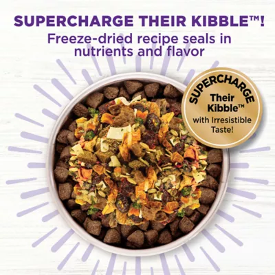 Wellness CORE Bowl Boosters Skin & Coat Dry Dog Food Topper