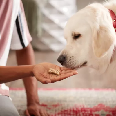 Product Milk-Bone Dipped Dog Treat All Ages - Peanut Butter