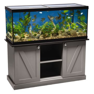 Petsmart near me that I visited today, almost all the tanks looked like  this :/ : r/shittyaquariums