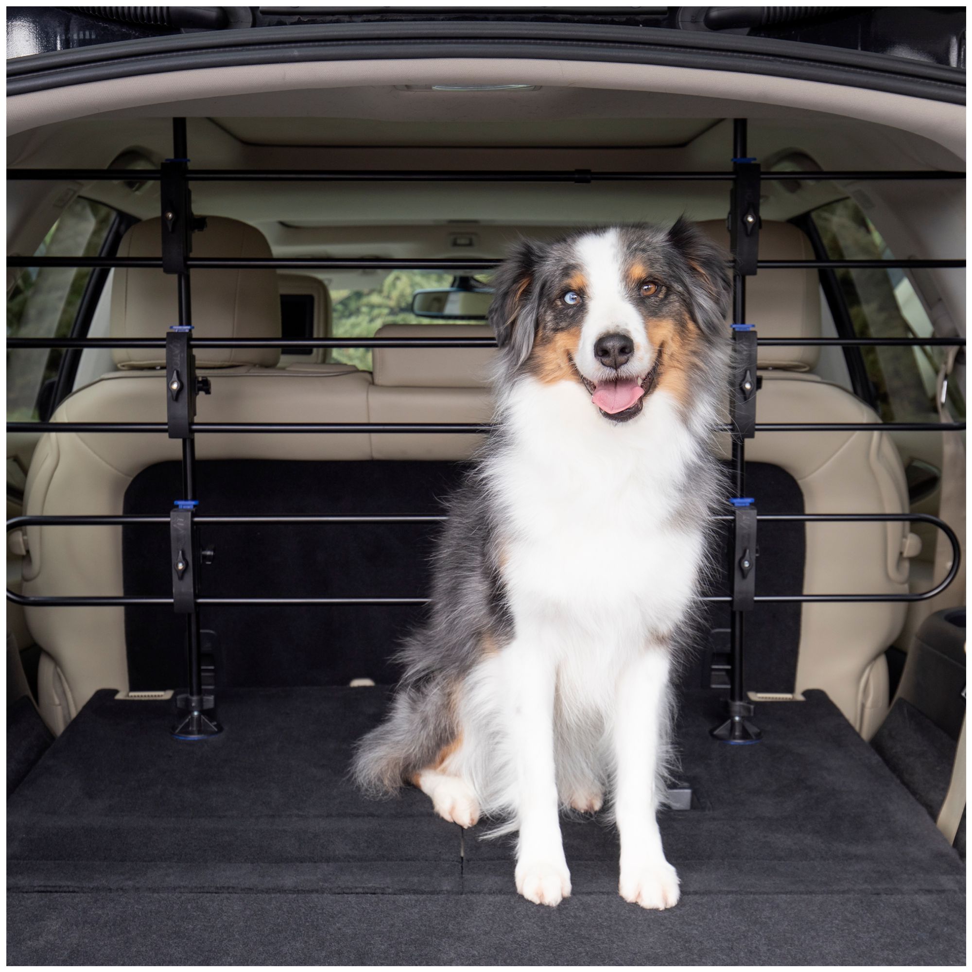 Metal dog barrier for hot sale car