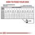 Royal Canin® Veterinary Diet Gastrointestinal Puppy Dry Dog Food image thumbnail 8