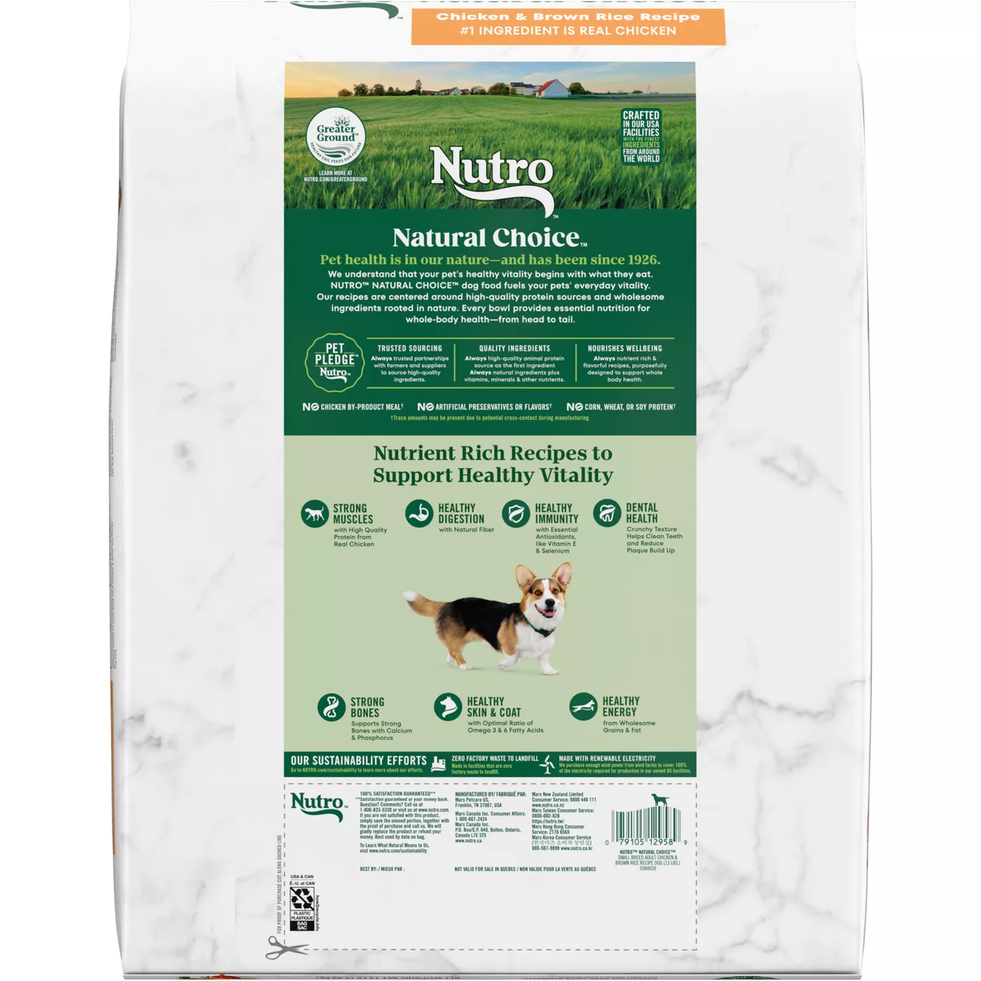 Nutro Natural Choice Large Breed Puppy Dry Dog Food