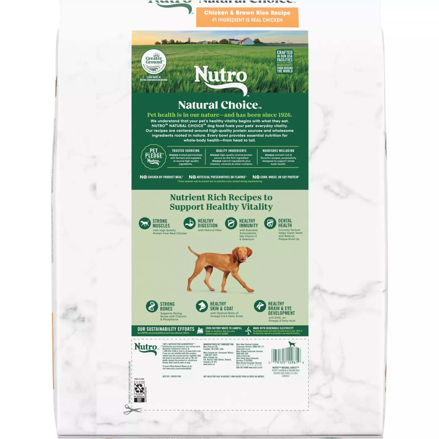 Nutro Natural Choice Puppy Dry Dog Food Non GMO Chicken Brown Rice