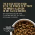 Purina Pro Plan LiveClear Allergen Reducing Kitten Dry Cat Food - Chicken & Rice image thumbnail 3