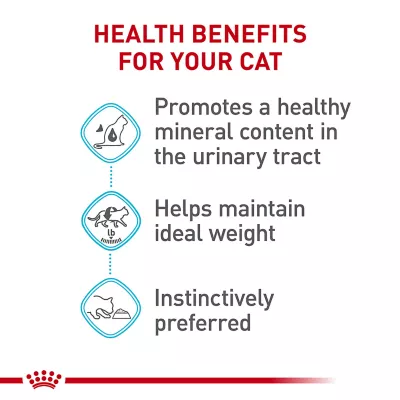 Product Royal Canin(R) Feline Care Nutrition# Urinary Care Adult Cat Slices in Gravy Wet Food - 3oz