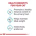 Royal Canin® Feline Care Nutrition Urinary Care Adult Cat Wet Food, 3 Oz image thumbnail 5