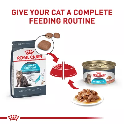 Product Royal Canin(R) Feline Care Nutrition# Urinary Care Adult Cat Slices in Gravy Wet Food - 3oz