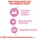 Product Royal Canin Mother & Baby Cat Mixed Feeding Kit - Wet and Dry Kit