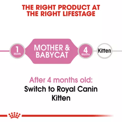 Product Royal Canin Mother & Baby Cat Mixed Feeding Kit - Wet and Dry Kit