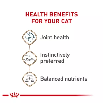 Product Royal Canin® Feline Health Nutrition Aging 12+ Loaf in Sauce Wet Cat Food  5.1 oz can