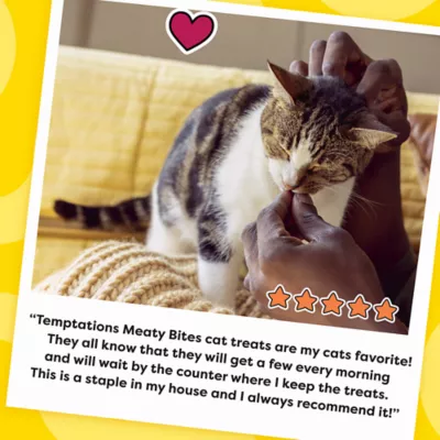 Product Temptations™ Meaty Bites Soft & Savory Adult Cat Treat - 1.5 oz