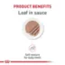 Royal Canin® Feline Care Nutrition Kitten Loaf in Sauce Wet Food  5.1 oz can image thumbnail 4