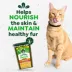 Greenies™ Feline Greenies SmartBites Skin and Fur Health Adult Cat Treats - Chicken image thumbnail 3