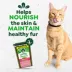 Greenies™ Feline Greenies SmartBites Skin & Fur Health Adult Cat Treats - Salmon image thumbnail 3