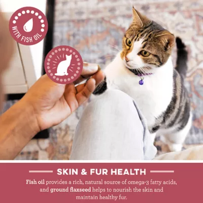Product Greenies™ Feline Greenies SmartBites Skin & Fur Health Adult Cat Treats - Salmon