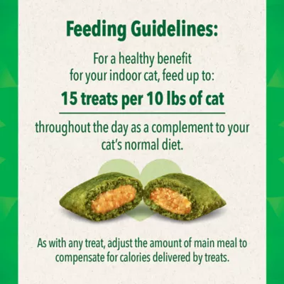 Product Greenies™ Feline Greenies SmartBites Skin & Fur Health Adult Cat Treats - Salmon