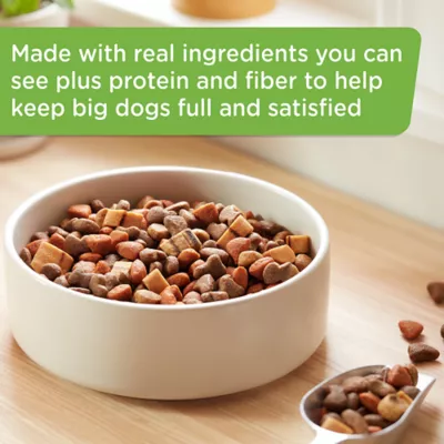 Product Rachael Ray Nutrish Big Life Dry Dog Food Adult - Chicken, Veggies, Barley