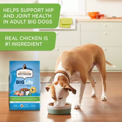 Product Rachael Ray Nutrish Big Life Dry Dog Food Adult - Chicken, Veggies, Barley