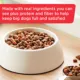 Product Rachael Ray Nutrish Big Life Dry Dog Food Adult - Beef, Veggies, Brown Rice