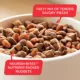 Product Rachael Ray Nutrish Big Life Dry Dog Food Adult - Beef, Veggies, Brown Rice