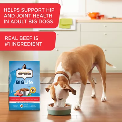 Nutrish large breed dog food best sale