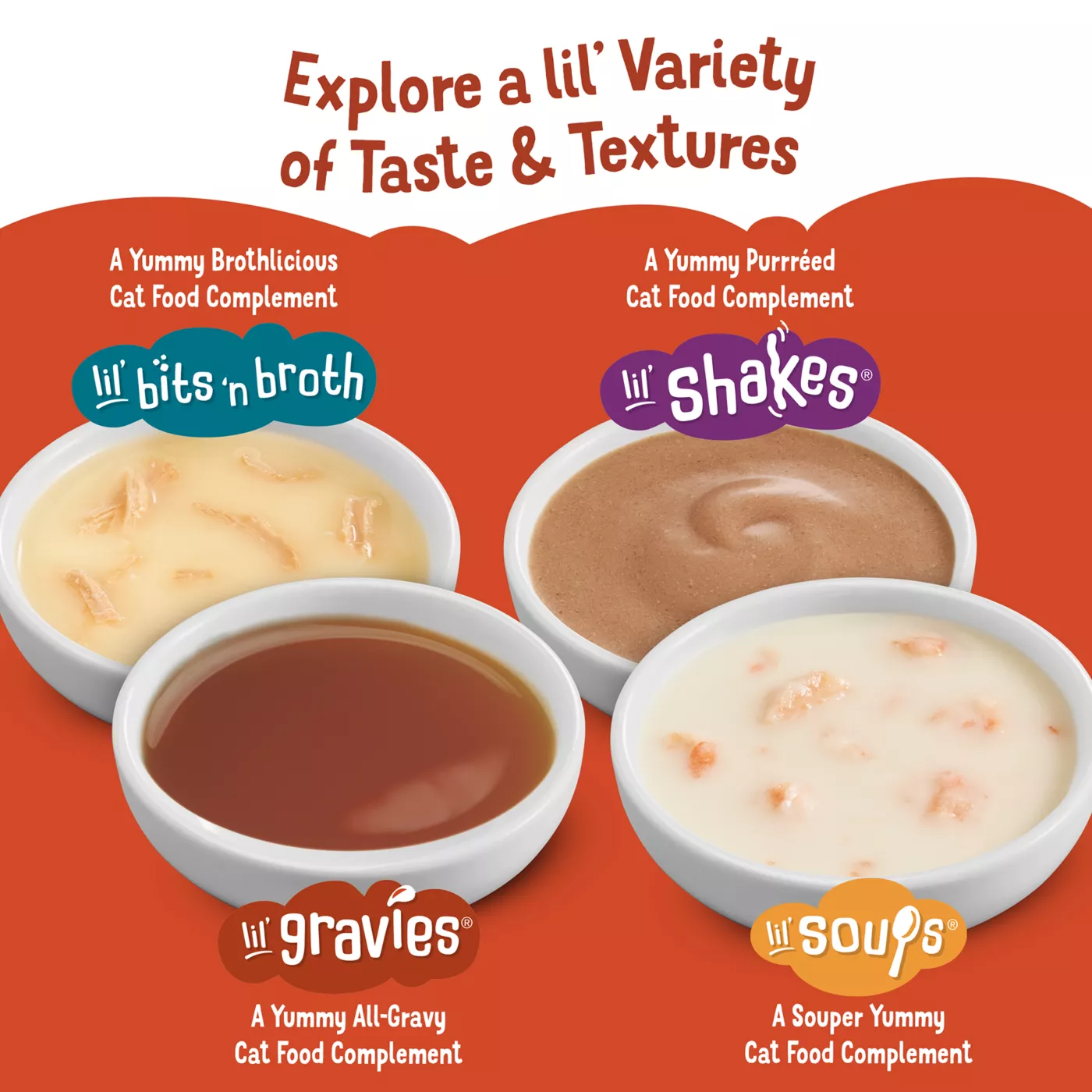 Lil soups coupon best sale