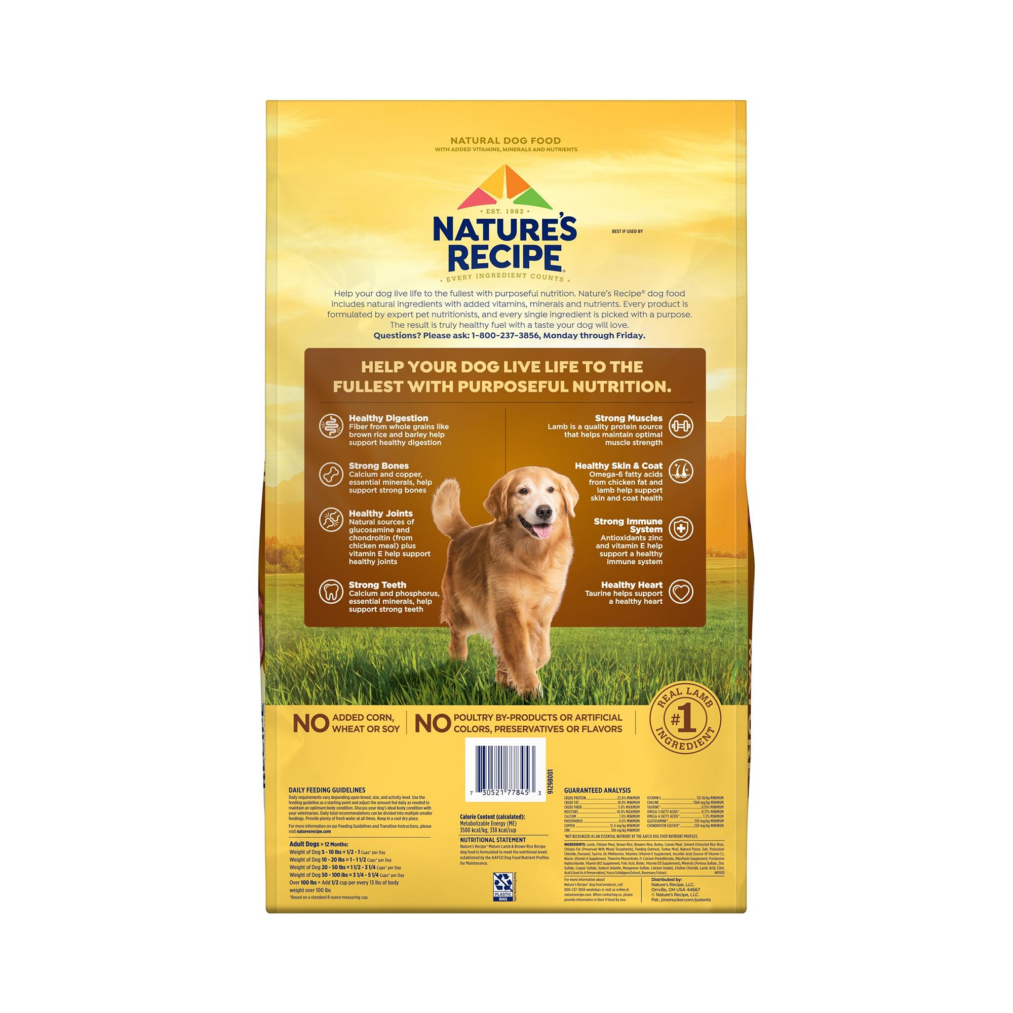 Nature's recipe senior dog food reviews hotsell