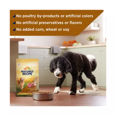 Nature's recipe puppy lamb meal & rice formula best sale