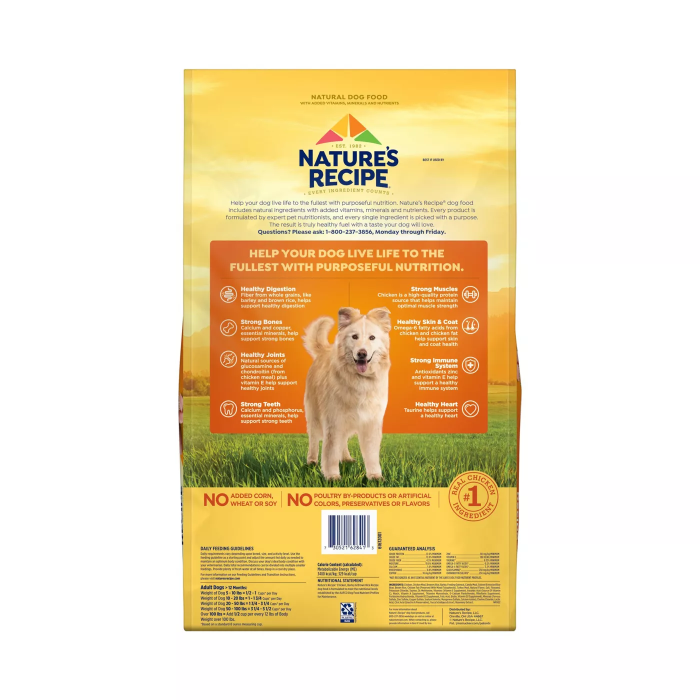 Best rice for dog food best sale