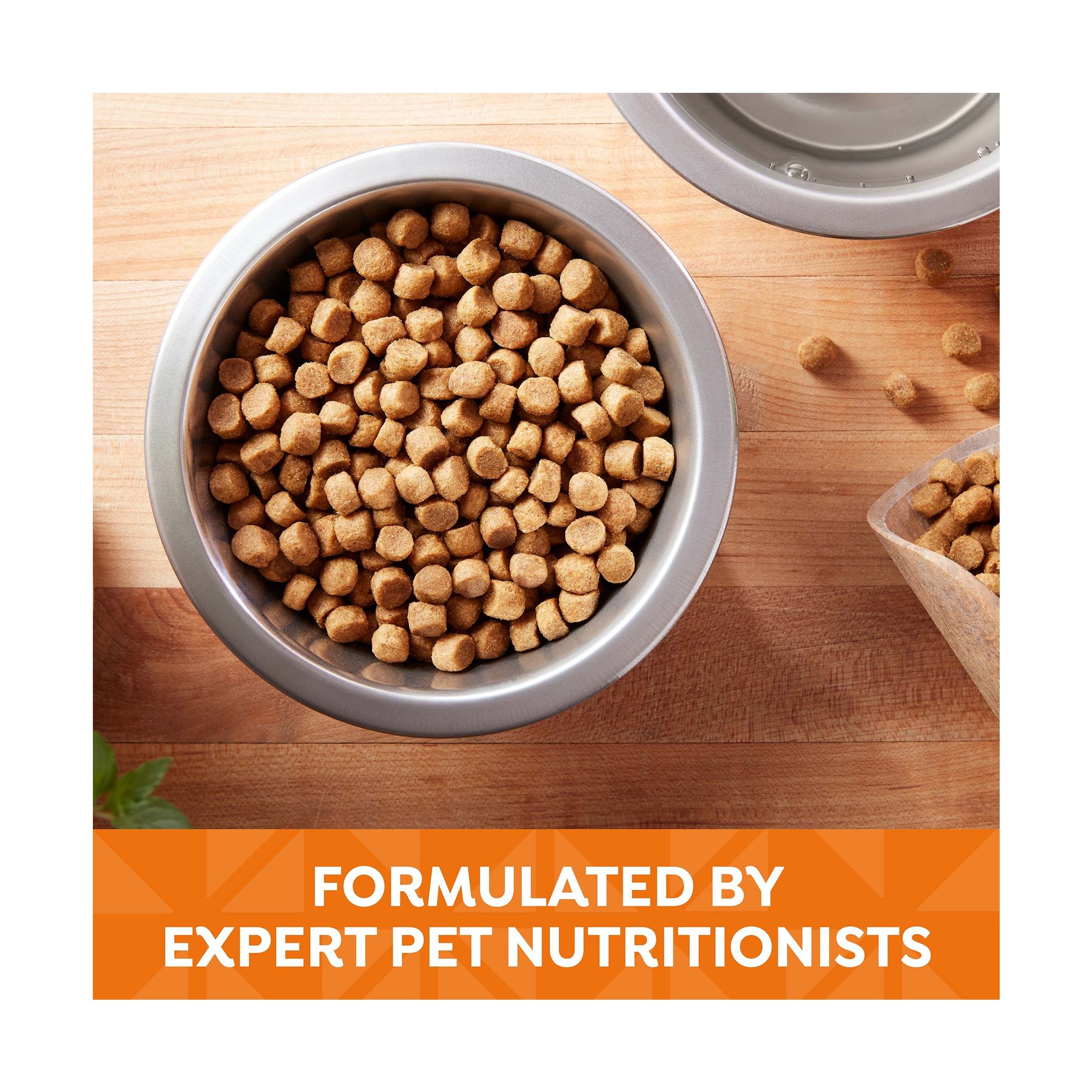 Natures recipe petsmart best sale