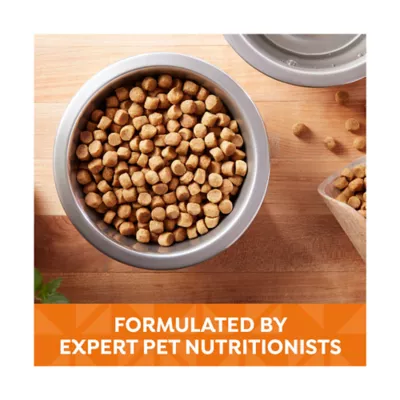 Nature's Recipe Dry Dog Food Adult - Chicken, Rice