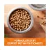 Nature's Recipe Dry Dog Food Adult - Chicken, Rice image thumbnail 4