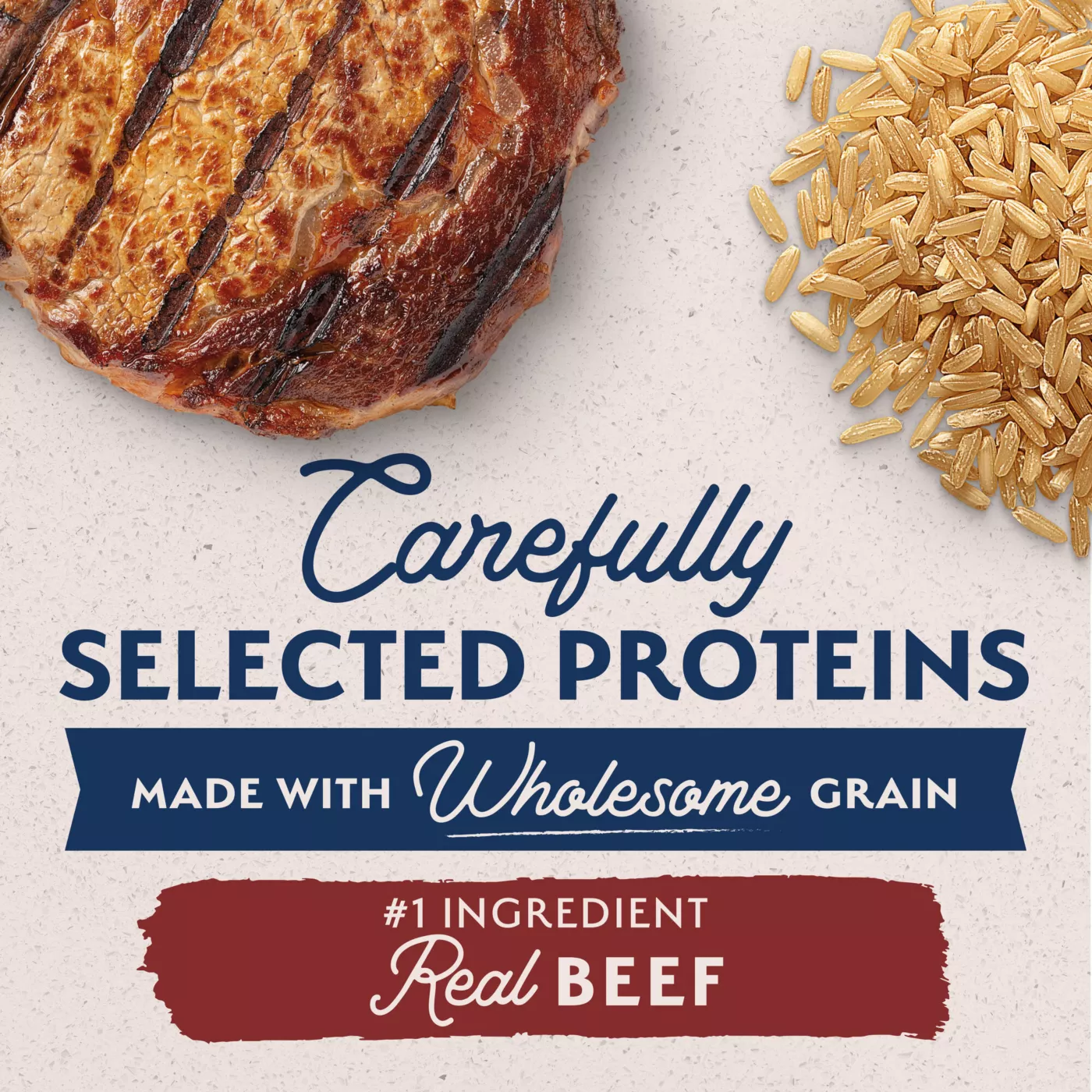 Limited ingredient beef dog food best sale