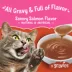 Purina® Friskies® Lil' Gravies Adult Wet Cat Food Complement - 1.55oz image thumbnail 3