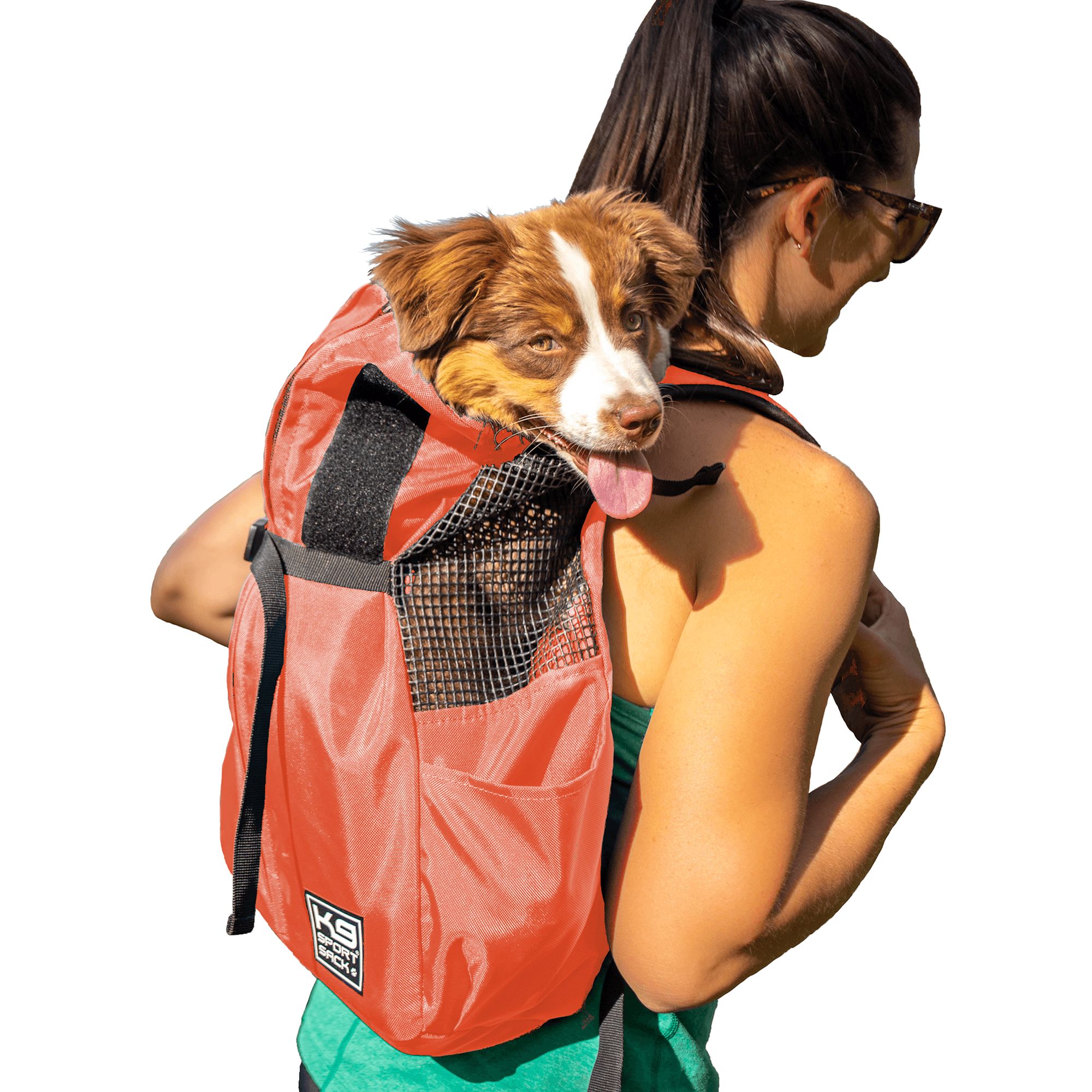 Backpacks for dogs petsmart best sale